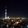 Egy álom valóra vált - Seba Japánban 13